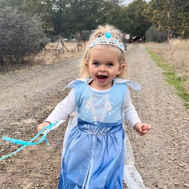 Little princess Ⅾ ⅬⅩⅩⅡ
