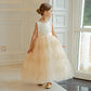 Wedding Girl Style DCCC ⅩⅬ Ⅶ